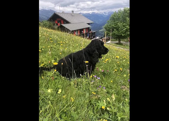 Bergpension Battagliahuette Malix