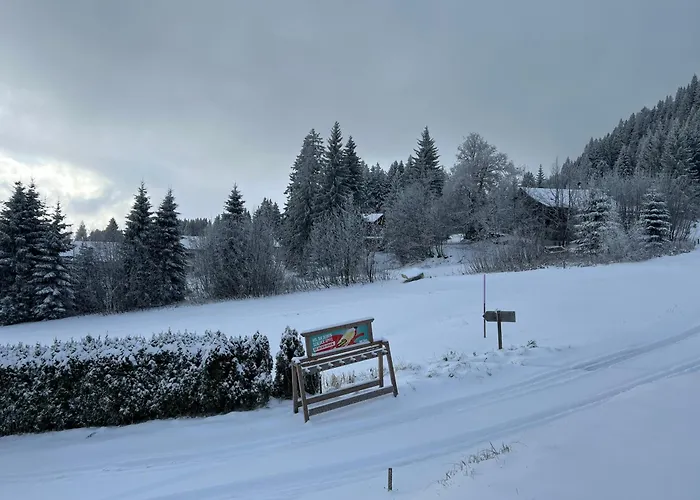 Bergpension Battagliahuette 3* Malix