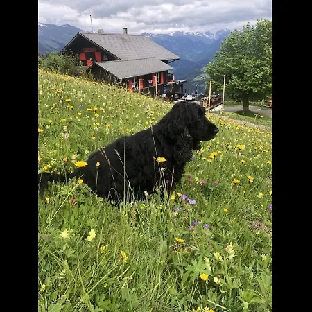 Bergpension Battagliahuette Malix